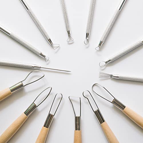 14Pcs Ceramic Pottery Clay Ribbon Sculpting Tools Kit Wire Texture and Needle Detail Tool with Plastic Box for Carving