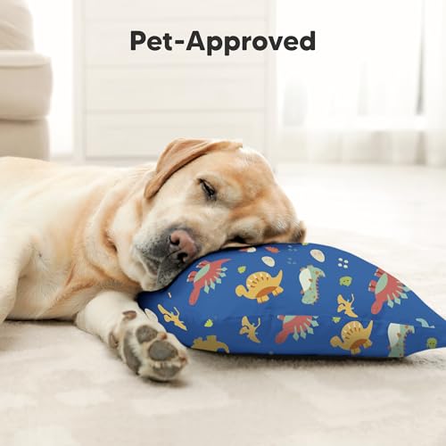 Toddler Pillow with Pillowcase