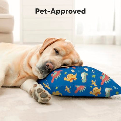 Toddler Pillow with Pillowcase