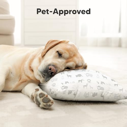 Toddler Pillow with Pillowcase