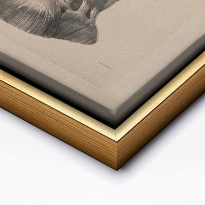 Vintage Science Canvas