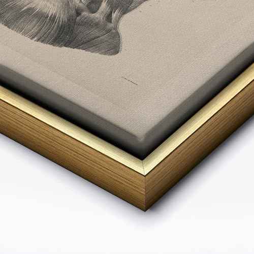 Vintage Science Canvas