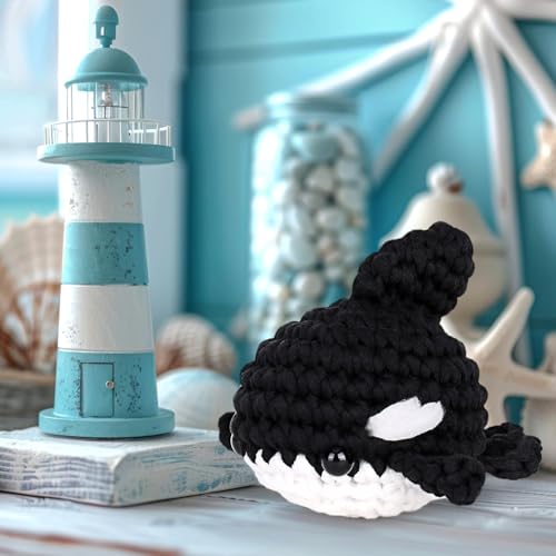 Crochet Kit for Beginners