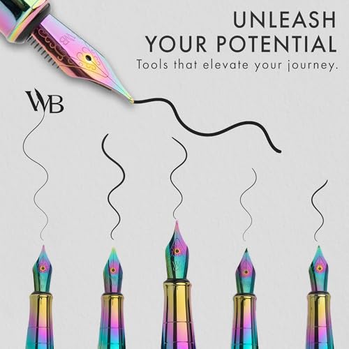 LuxuryFountain Pen Set for Writing