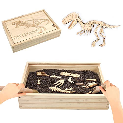 Dinosaur Excavation Archaeology Dig Kit for Kids