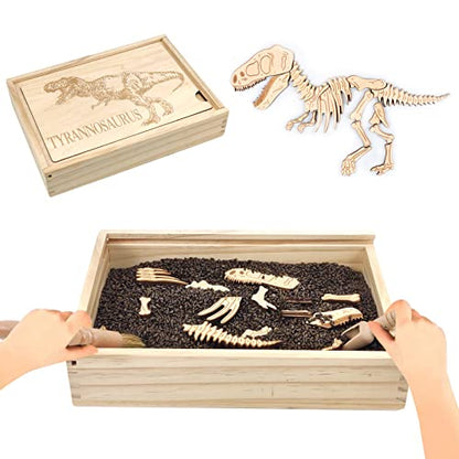 Dinosaur Excavation Archaeology Dig Kit for Kids