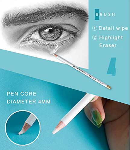 6PCS Artist Eraser Pencils Wooden Sketch Highlight Painting Erasing Pen Student Limner (6 Count)