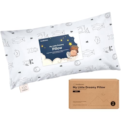 Toddler Pillow with Pillowcase