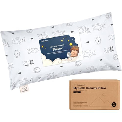 Toddler Pillow with Pillowcase