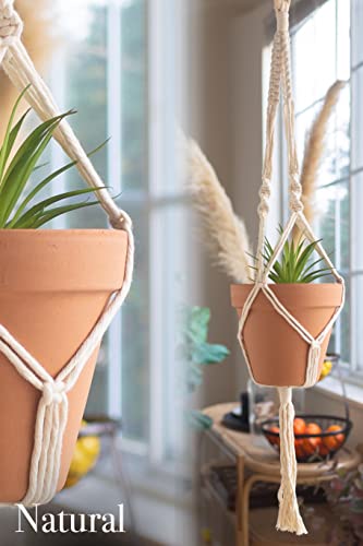 Macrame Kit Makes 3 DIY Plant Hangers for Teens & Adult Beginners (3 Count)