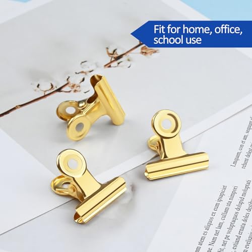 30 Pack Bulldog Clips 0.87 Inch Small Hinge Paper Clips (30 Count)