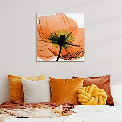 Frameless Free Floating Tempered Glass Panel Graphic Wall Art Ready to Hang