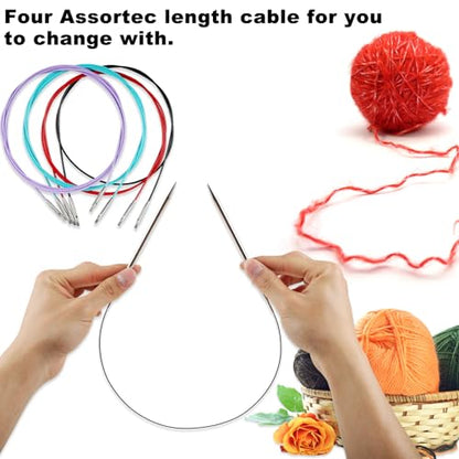 Lace Interchangeable Circular Knitting Needles (18 Count)