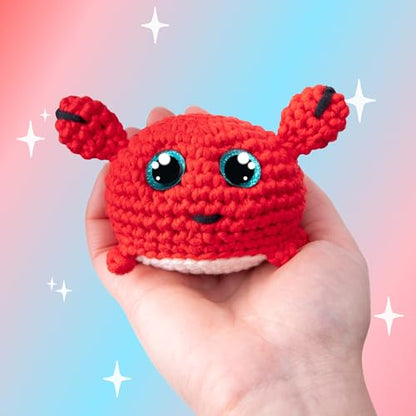 Crochet Kit for Beginners