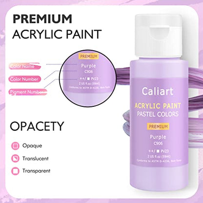 24 Colors Pastel Acrylic Paint Set with 12 Brushes (48 Fl Oz)