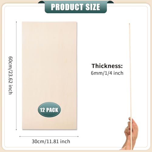 12 Pack 12 x 24 x 1 (2.88 Sq Ft)