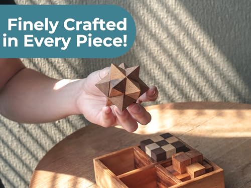 4 in 1 Wooden Brain Teaser Puzzles for Adults (4 Count)