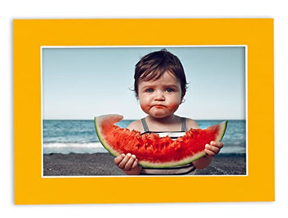 Pack of TEN 11x14 Mats Bevel Cut for 9x12 Photos (10 Count)