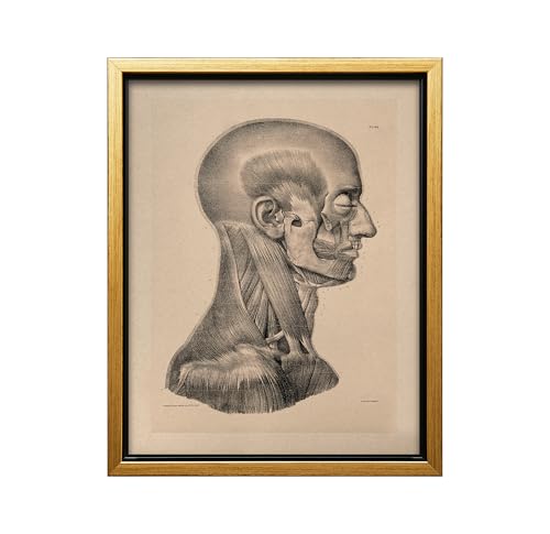 Vintage Science Canvas