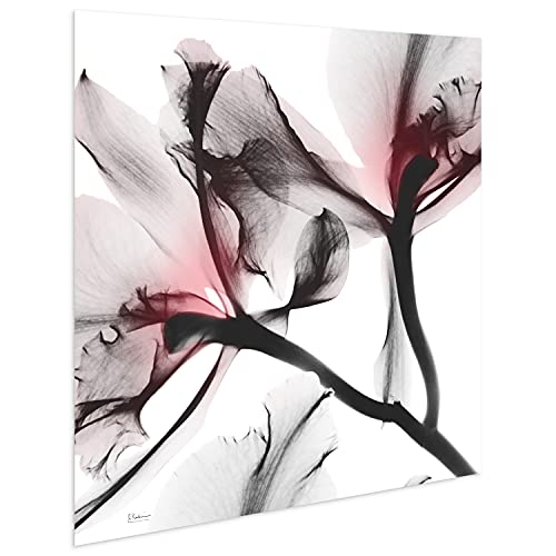 Frameless Free Floating Tempered Glass Panel Graphic Wall Art Ready to Hang
