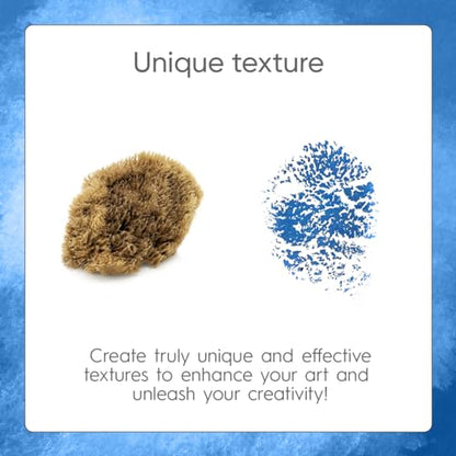 Natural Artist Sea Sponges for Painting 2 Pack (2 Count)