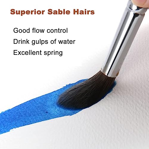 Sable Watercolor Brushes Professional