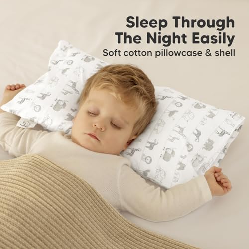 Toddler Pillow with Pillowcase