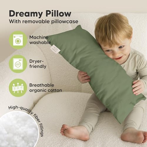 Toddler Pillow with Pillowcase