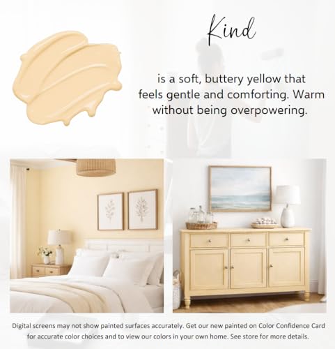 ALL-IN-ONE Paint by Heirloom Traditions, Kind, 8oz Sample (8 Fl Oz)