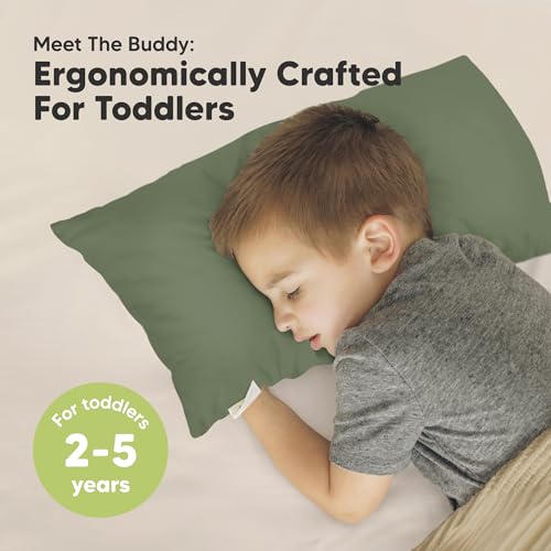Toddler Pillow with Pillowcase