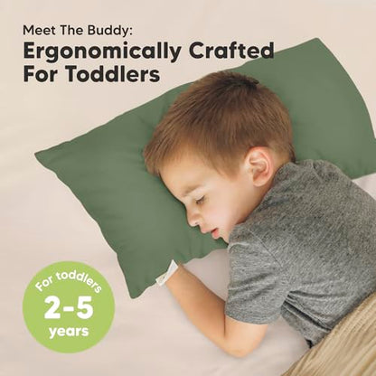 Toddler Pillow with Pillowcase