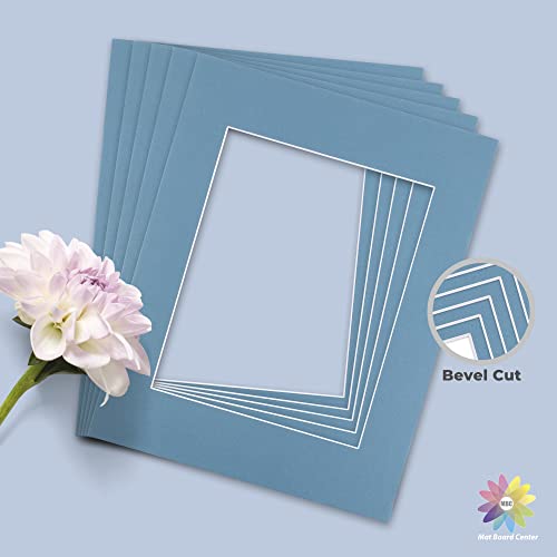 Mat Board Center 10 Pack 11x14 Photo Mats for 8x10 Picture (10 Count)
