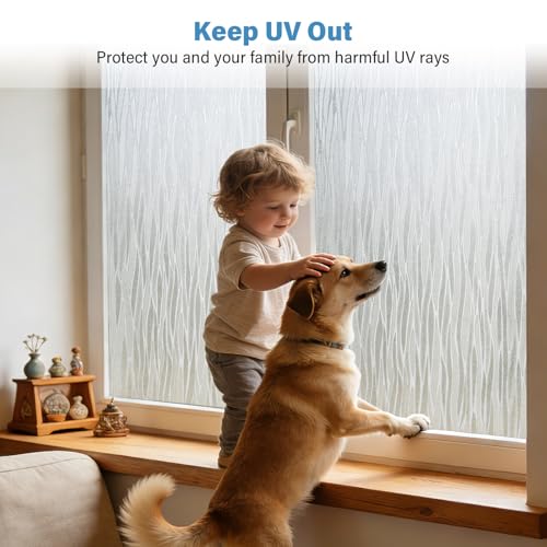 Window Privacy Film