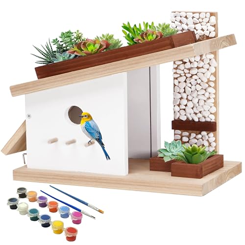Modern Birdhouse Woodworking Kit (4 Gram)