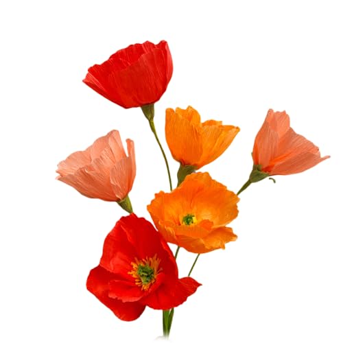 Orange Crepe Paper Poppy Flower DIY Making Kit Home Decoration Table Decor Pack of 24 pcs