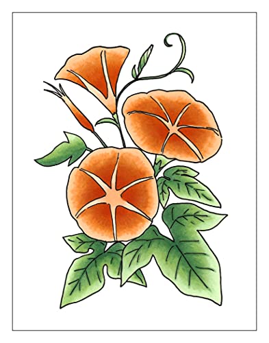 Sketch Fusion #4 Orange 3 (3 Count)