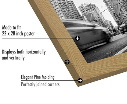 22x28 Poster Frame