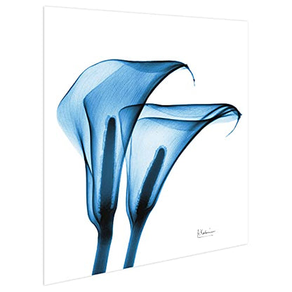 Frameless Free Floating Tempered Glass Panel Graphic Wall Art Ready to Hang (2 Count)