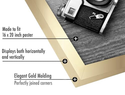 16x20 Poster Frame