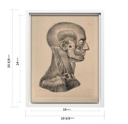 Vintage Science Canvas
