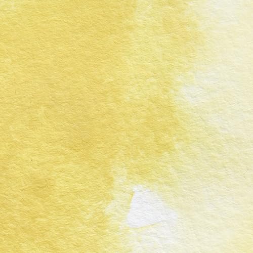 Professional Watercolor