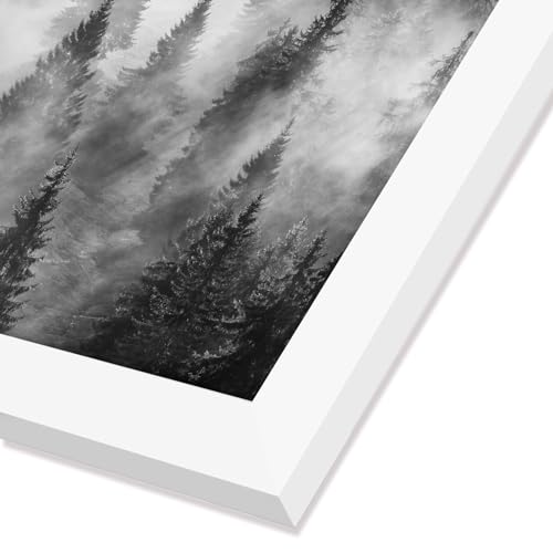 24x24 Poster Frame