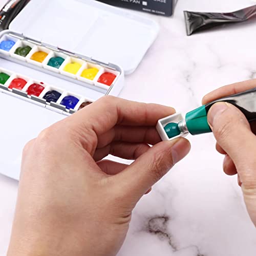 Empty Watercolor Palette