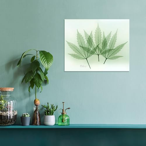 Frameless Free Floating Tempered Glass Panel Graphic Wall Art Ready to Hang