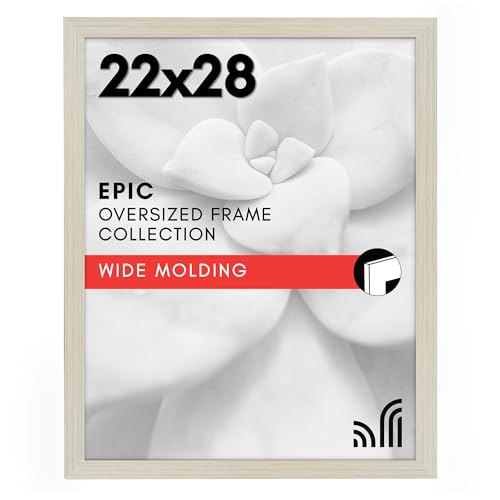 22x28 Poster Frame