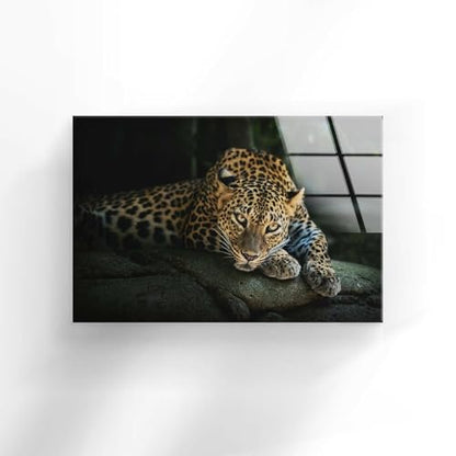 12Wx10H'' Fierce Leopard Glass Wall ArtTempered Glass Printing Wall Decor Large Wall Art Wall Hangings