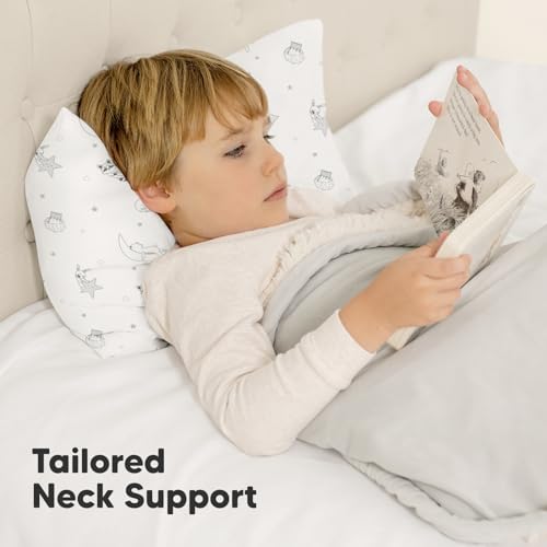 Toddler Pillow with Pillowcase