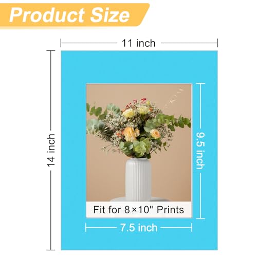 10 Pack Picture Mats for Frames