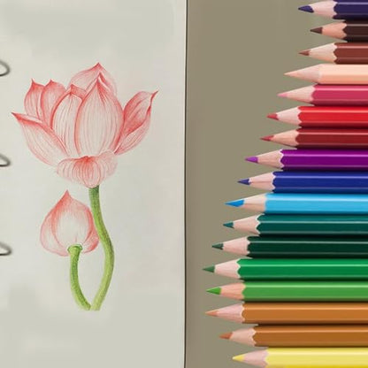 50Pcs Colored Pencils (50 Count)