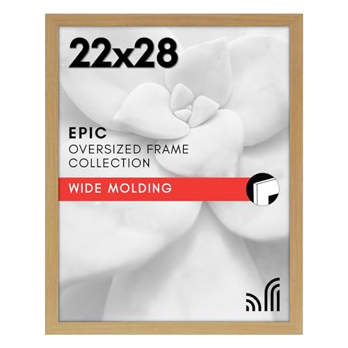 22x28 Poster Frame